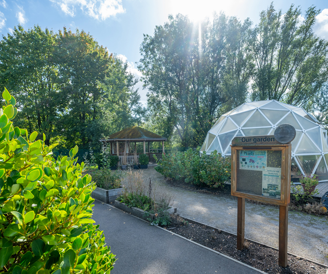 St lukes primary school photography - picture of garden